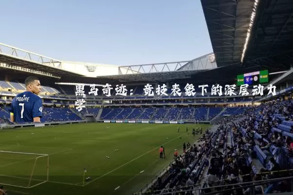 黑马奇迹:竞技表象下的深层动力学